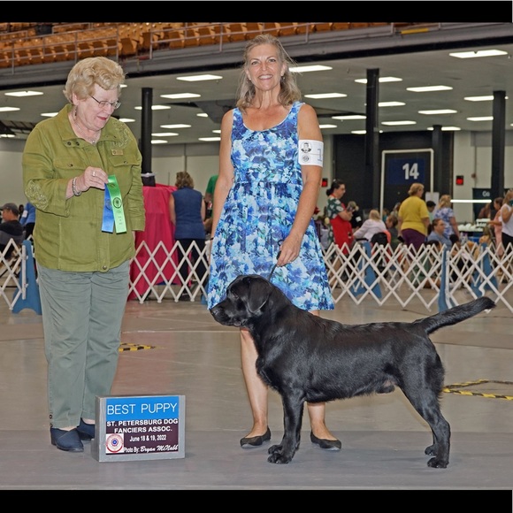 Meet your Posher, Titagidge - Picture 11 of 11